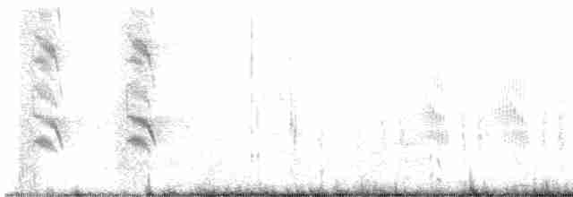 Лодкохвостый гракл - ML618023010