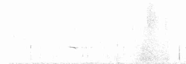 Eurasian Bullfinch - ML618023472