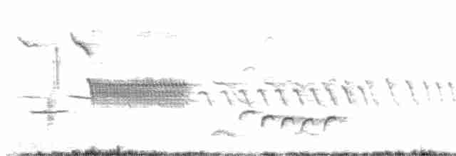 Тремблер прямодзьобий - ML618023535