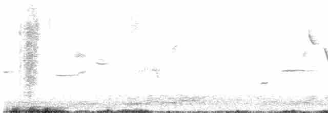 Yellow Warbler - ML618023665