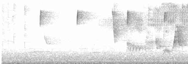 Голубокрылая червеедка - ML618023955