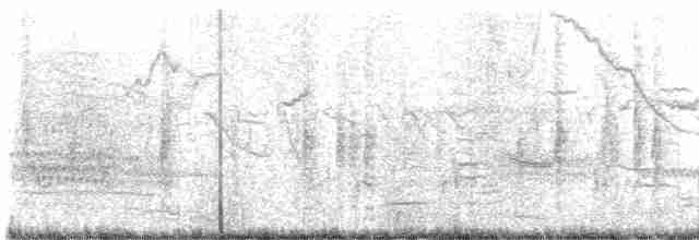 vlhovec červenokřídlý - ML618024347