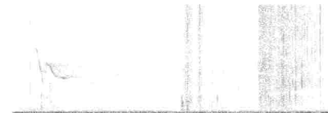 Сероголовый виреон - ML618024412