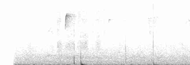 Миртовый певун (coronata) - ML618024445