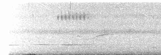Таязура-клинохвіст велика - ML618025410