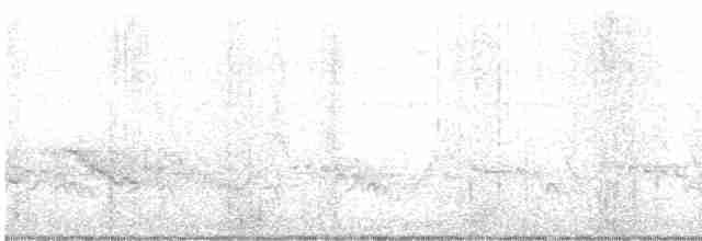 Копетон чубатий - ML618025531