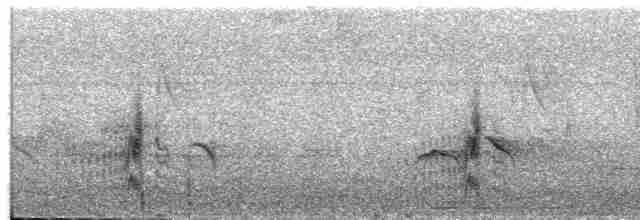 Светлогорлый мухолов - ML618025551