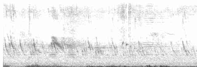 Büyük Mor Kırlangıç - ML618025615