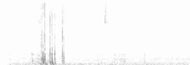 גיבתונית רוננת - ML618026240