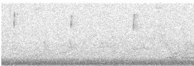 Ring-necked Pheasant - ML618026825