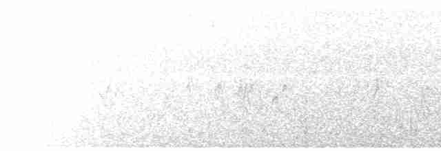 "Шишкар ялиновий (Northeastern, або тип 12)" - ML618028035