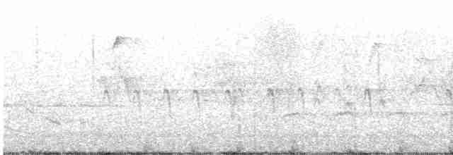 Шишкар ялиновий - ML618028404