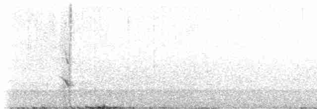 Oriole de Bullock - ML618029613