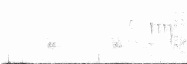 Ardıç Baştankarası - ML618030688