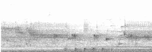 אנפית-גמדית אמריקנית - ML618030914