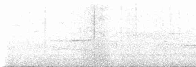 Troglodyte de Baird - ML618031386