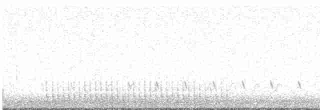 hvitbrynsvartspett - ML618032285