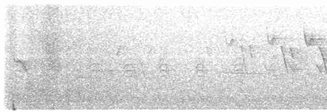 gulbrynkjernebiter - ML618032682