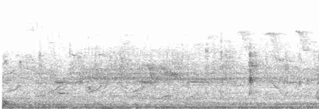 Common Gallinule - ML618033449