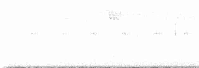 Brown-crested Flycatcher - ML618034922