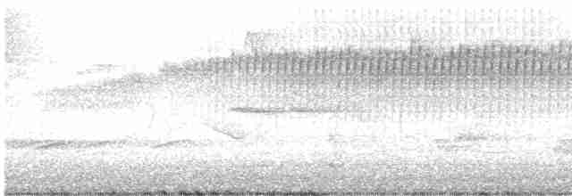 Певун-червеед - ML618035069