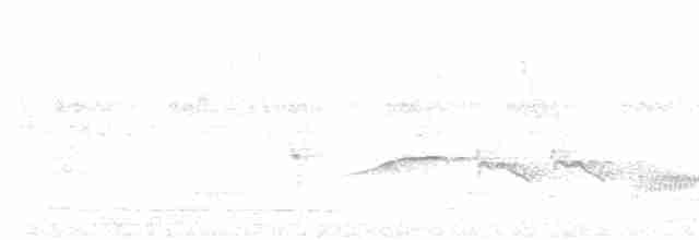 Зернолуск зеленокрилий - ML618035108