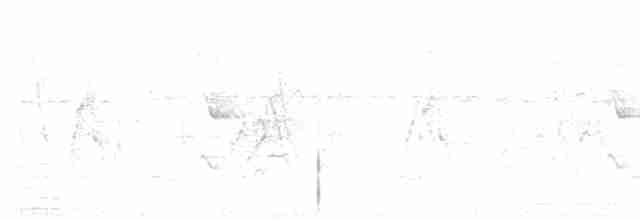 Graustirn-Dickichtschlüpfer - ML618035532