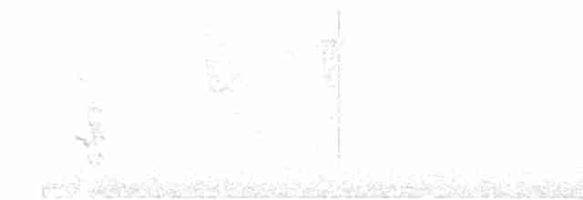 amazónek šupinkový - ML618035901