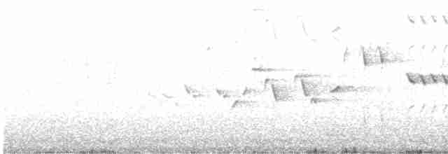 Chochín Hiemal - ML618036258
