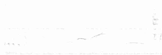 Schwarzscheitel-Ameisenfänger - ML618036690