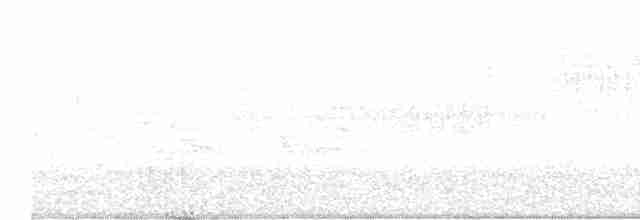 Тихоокеанский крапивник - ML618037377