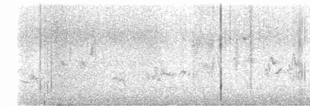 gråsolitærtrost - ML618038122