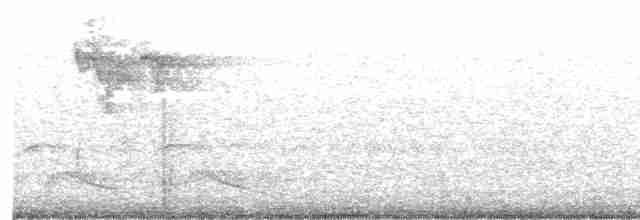 Kentucky Warbler - ML618038508