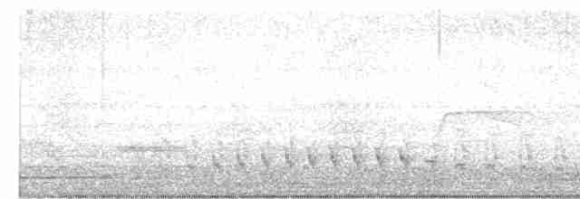 Fleckenbrust-Ameisenfänger - ML618039736