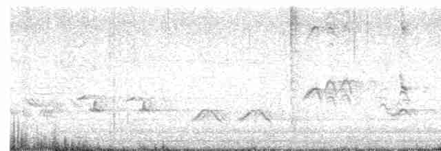 Sinsonte Norteño - ML618040598