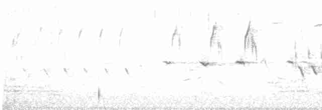Sinsonte Norteño - ML618041653
