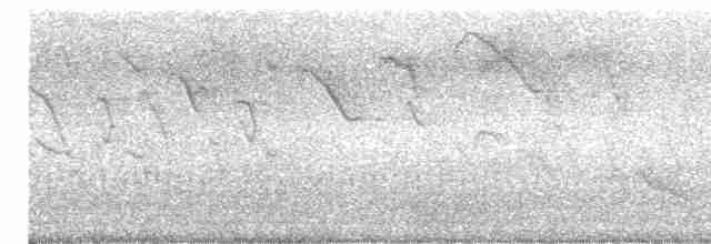 Зернолуск великий - ML618042054