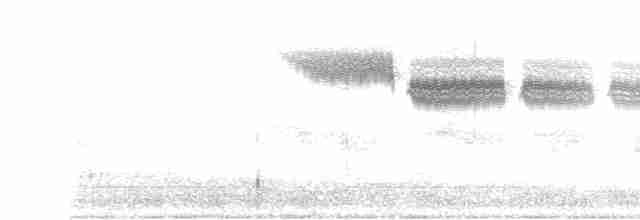 Желтокрылая червеедка - ML618042269