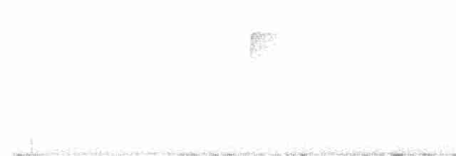 Worm-eating Warbler - ML618042279