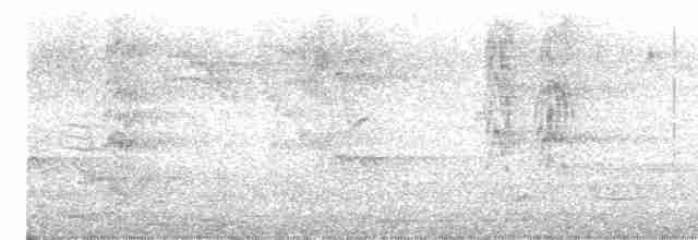 Pabuç Gagalı Tiran - ML618042518