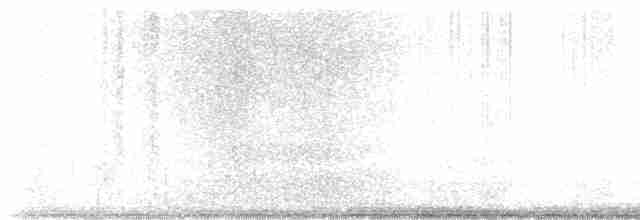 Дрізд-короткодзьоб плямистоволий - ML618042537