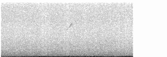 Улит-отшельник - ML618043297