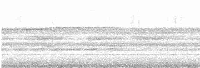 Kara Gözlü Puhucuk (colombianus) - ML618043542