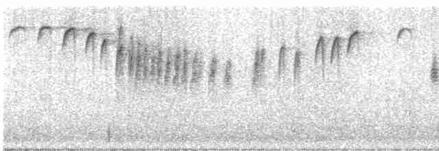 Mirlo Acuático Norteamericano - ML618043835