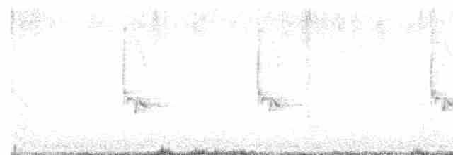 Каролинский крапивник - ML618044515