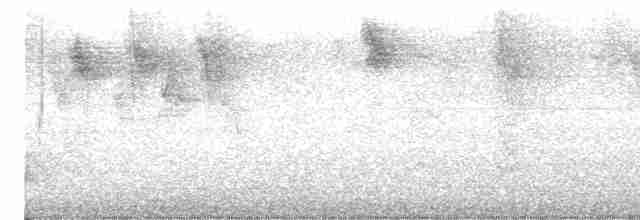 Pepitero sp. (Saltator sp.) - ML618044579