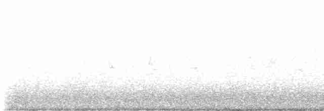kalypta černobradá - ML618044871