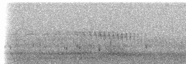Black-billed Shrike-Tyrant - ML618044923