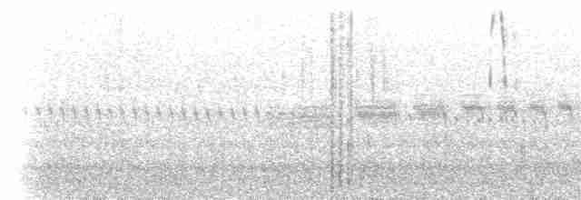 Grass Wren (Paramo) - ML618044954