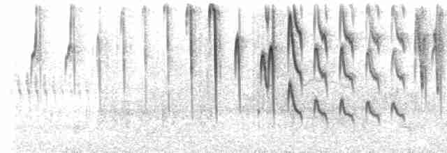 Колібрі-плямохвіст синьогорлий - ML618044968